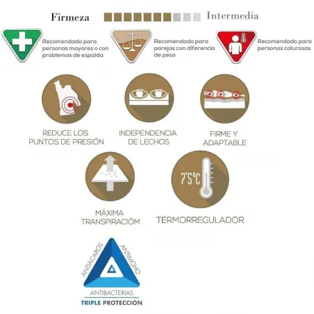 DOBLE TOP NUCLEO D70