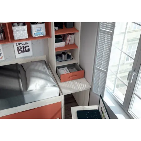 COMPOSICIÓN JUVENIL CON PUENTE