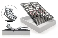 Koala Confort Articulado dos motores 2