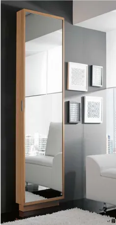 Entradita zapatero con puerta y espejo 53