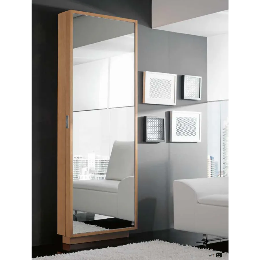 Entradita zapatero y perchero con puerta y espejo 74