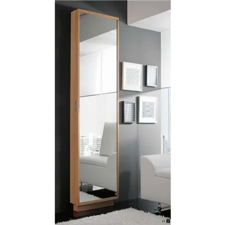 Entradita zapatero con puerta y espejo 53