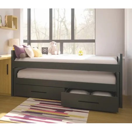 Salón con vitrinas en madera 270 cm.