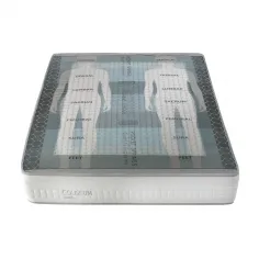 Coliseum de Naturcolchón 2