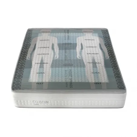 Coliseum de Naturcolchón