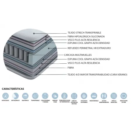 Coliseum de Naturcolchón