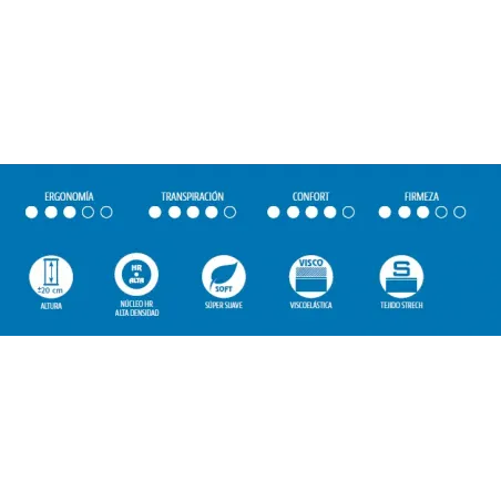 Pack Silver medida 90x190 H20 Viscoelástico